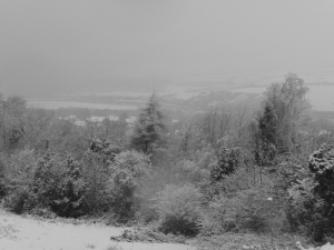 SNOWY NEWPORT JAN 2013 037
